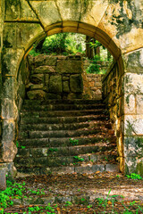 old beautiful ancient arch way close up, antique architecture concept with stairs and green nature...
