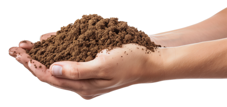 Hands holding pile of soil on transparent background