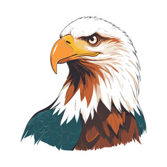 Eagle Head Illustration