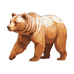 Hand Drawn Bear Walking Engraved Illustration