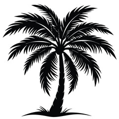 Obraz premium plant tree silhouette