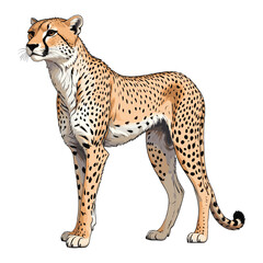 Chipmunk Hand Drawn Illustration