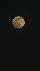 Obraz premium moon in the sky