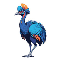 Hand Drawn Cassowary Illustration Peacock Vector