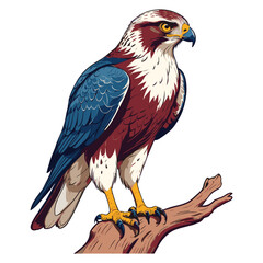 Hawk Perched on Branch Vector Illustration