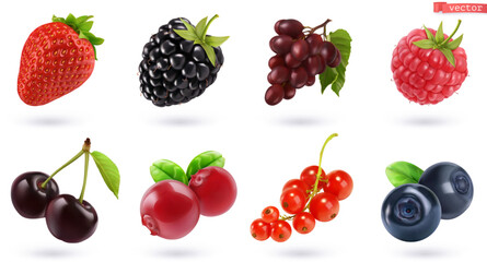 Fruits and berries, high quality realistic vector set