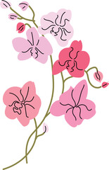 Easy-to-edit vector illustration of orchid branch with pink tones