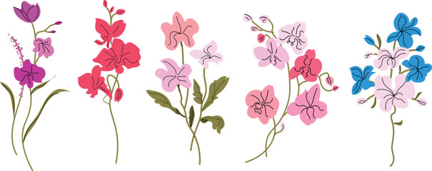 set of hand-drawn orchid drawings with vivid varied tones, vector art