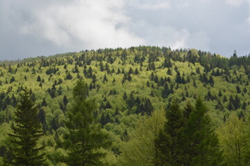 Góry Tatry © Marta