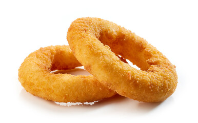 fried onion rings