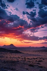 Obraz premium Horse standing in a desert landscape