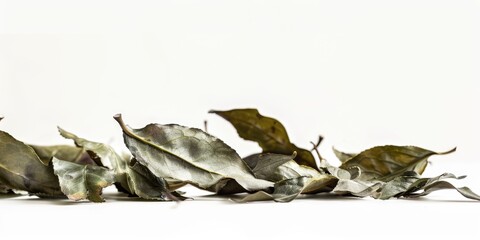 Close-up shot of a white surface covered in fallen leaves, perfect for autumn or nature-inspired designs