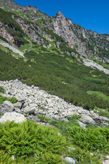 Obraz premium Landscape of Rila Mountain near Malyovitsa peak, Bulgaria