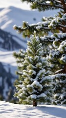 A Winter Scene With Snow and Christmas Trees - Portrait