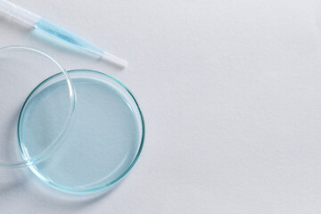 Transfer pipette and petri dish on white background, top view. Space for text