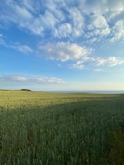 Fototapeta premium Sunset