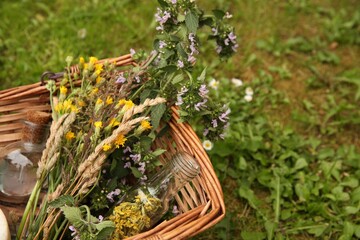 Tincture and flowers in wicker basket outdoors, space for text