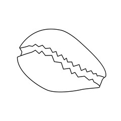 Black and white silhouette of seashell isolated on white background. Monochrome outline drawing. Vector illustration. Design element for coloring, cards, printing, packaging, invitations, advertising.