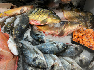 Fresh Seafood Market Display with Fish