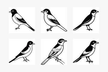 Solid color Eastern Kingbird animal vector design