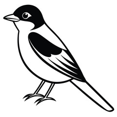 Solid color Eastern Kingbird animal vector design