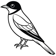 Solid color Eastern Kingbird animal vector design