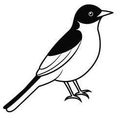 Solid color Eastern Kingbird animal vector design