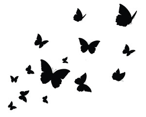 Butterfly collection. Watercolor illustration. Colorful Butterflies clipart set. Baby shower design elements. Party invitation, birthday celebration. Spring, summer