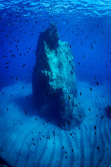 seabed of Scilla (Reggio Calabria - Italy)