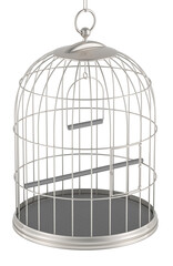Silver bird cage, metallic birdcage. 3D rendering isolated on transparent background