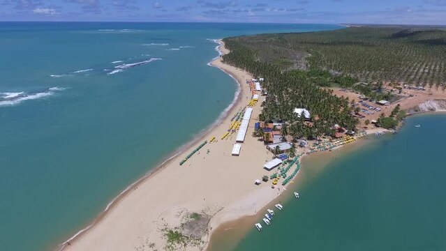 Aeral view of Gunga Beach - Roteiro, Alagoas, Brazil
