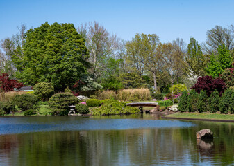 Bridge in Japanese Garden in Missouri in Springtime