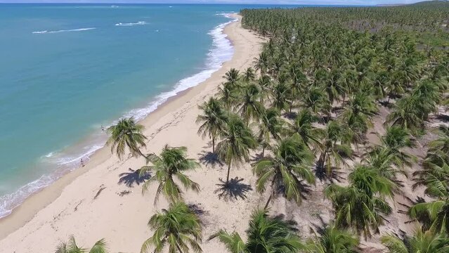 Aeral view of Gunga Beach - Roteiro, Alagoas, Brazil