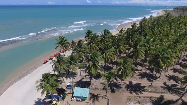 Aeral view of Gunga Beach - Roteiro, Alagoas, Brazil