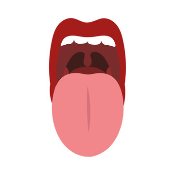 Open mouth and healthy tonsils medical diagram 