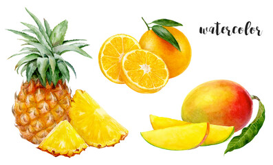 Watercolor illustration of pineapple, orange, and mango, creating a colorful artwork
