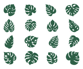 Monstera. Zestaw 16 egzotycznych liści. Wektorowe elementy. © Monika