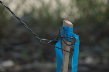 Wooden pole with metal wire and bright blue plastic band wrapped around it, greenery in background