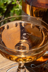 Summer party, French brut rose champagne sparkling wine in coupe glasses in yacht harbour of Port Grimaud near Saint-Tropez, French Riviera vacation, Var, France