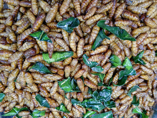 Thai Street Food Bugs Thailand Asian Market