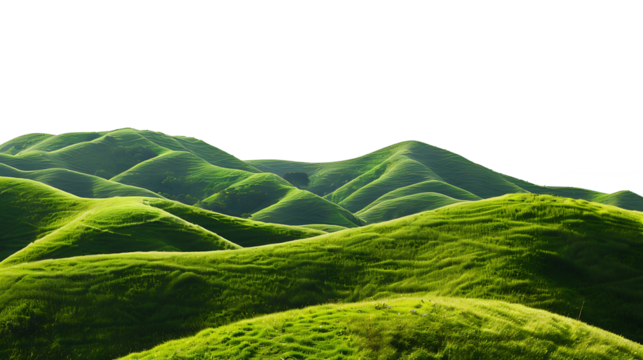 Panoramic green hills isolated on withe background.