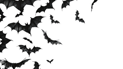 Obraz premium Halloween bat and bats on transparent background