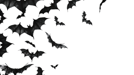 Halloween bat and bats on transparent background