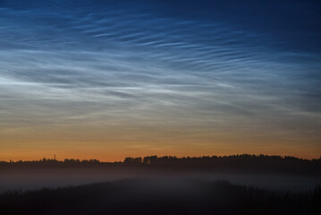 silver clouds in the meadow at night with fog in the field
