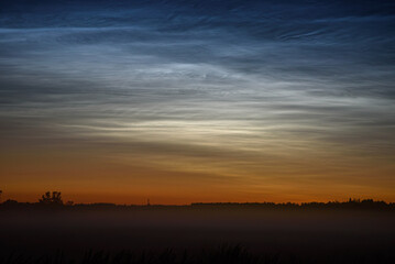 silver clouds in the meadow at night with fog in the field