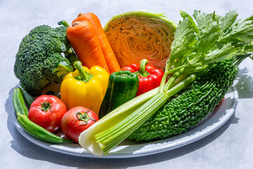 色とりどりの野菜　野菜集合