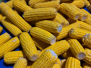 fresh corn fruit sold in the market
