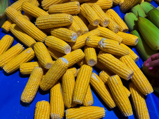 fresh corn fruit sold in the market
