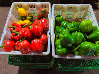 fresh peppers sold in the market