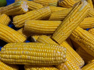 fresh corn fruit sold in the market